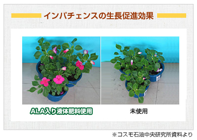 plant2-05